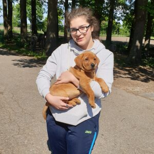 Profilbild von Eirini Lambridou