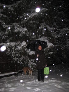 Profilbild von Elina Kolesow