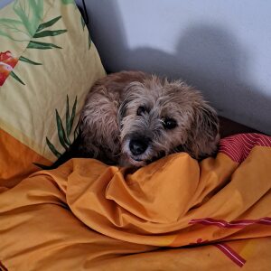 Profilbild von Elisabeth Exner