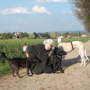 Profilbild von Elisabeth Meinhard