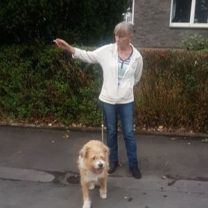 Profilbild von Elisabeth Menden