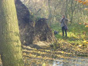 Profilbild von Elke Bertel