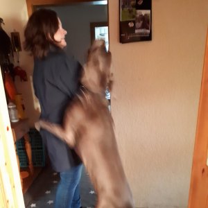 Profilbild von Elke Freidank