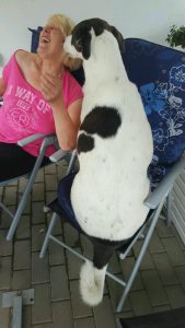 Profilbild von Elke Gescke