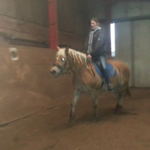 Profilbild von Elke Michaelis