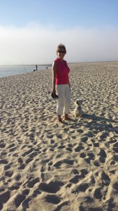 Profilbild von Elke Müller