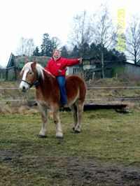 Profilbild von Elke Rohde