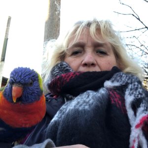 Profilbild von Elke Schreiber