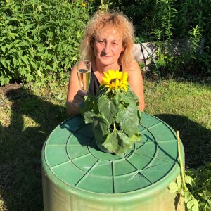 Profilbild von Elke Stephan Dettmann