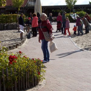 Profilbild von Elvira Fronecke-Krabbes