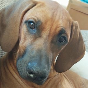 Profilbild von Elvira Matejasik