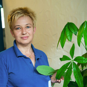 Profilbild von Elvira Schaffer