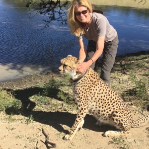 Profilbild von Elvira Strauss