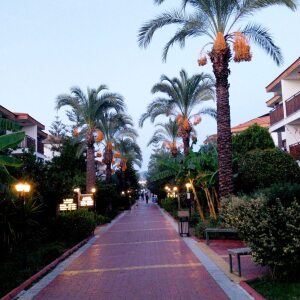 Profilbild von Erika Nowakowski