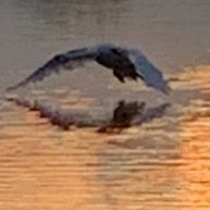 Profilbild von Eros Marzolla