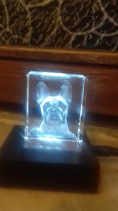 Profilbild von Esta Lichtblau