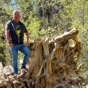 Profilbild von Falk Tremmel