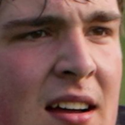 Profilbild von Florian Bremse