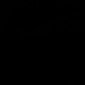 Profilbild von Francisco Javier Mogrovejo Sanchez