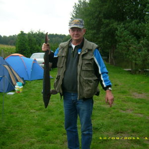 Profilbild von Frank Bartel
