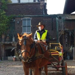 Profilbild von Frank Bausch