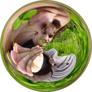 Profilbild von Frank Daubner