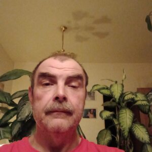 Profilbild von Frank Erdmann