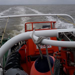 Profilbild von Frank Friedel