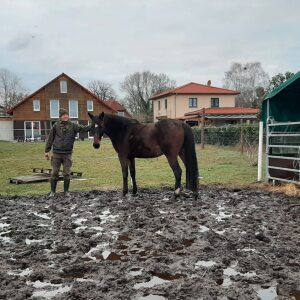 Profilbild von Frank Grawe