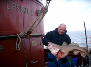 Profilbild von Frank Gutsche