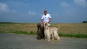 Profilbild von Frank Kern