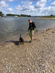 Profilbild von Frank Knops