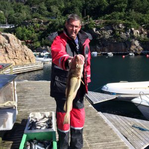 Profilbild von Frank Lehmann