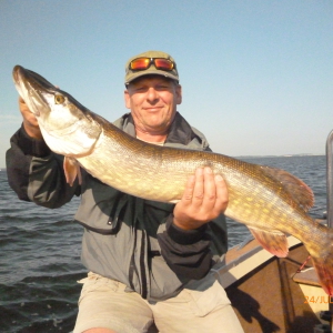 Profilbild von Frank Lingstädt