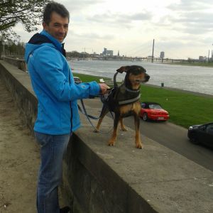 Profilbild von Frank Neumann