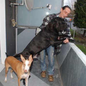 Profilbild von Frank Rozman