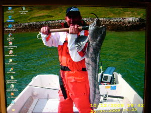 Profilbild von Frank Schneeberg