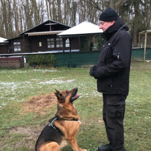 Profilbild von Frank Vehlies