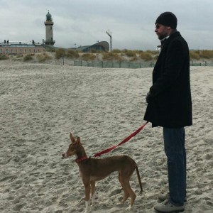 Profilbild von Frank Vollbrecht