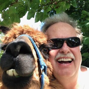 Profilbild von Frank Wolf
