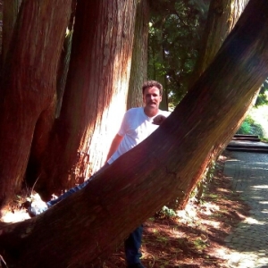 Profilbild von Frank Zöllner