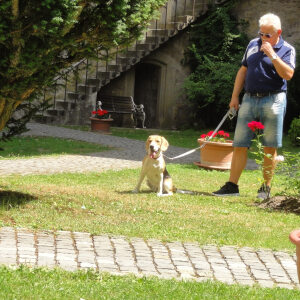 Profilbild von Franz Schroedl