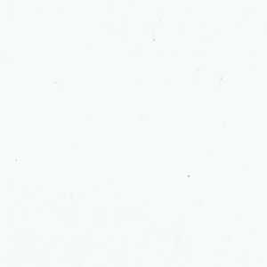 Profilbild von Franziska Reinke