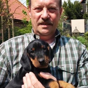 Profilbild von Friedbert Jünger