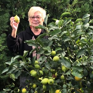 Profilbild von Friederike Plath