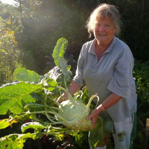 Profilbild von Friederike Schimke