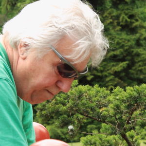 Profilbild von Friedhelm Schlösser