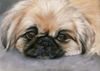 Profilbild von Gabi Prinz