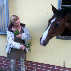 Profilbild von Gabriela Dr. Holzmann