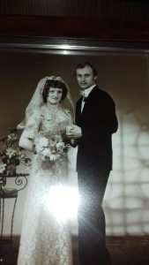 Profilbild von Gabriela Heinisch